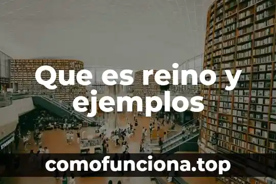 Que es el reino animal 4 Que es reino y ejemplos