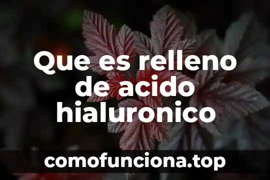 Que es el material de relleno 6 Que es relleno de acido hialuronico