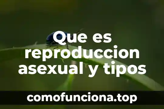 Que es el de una planta asexual 4 Que es reproduccion asexual y tipos