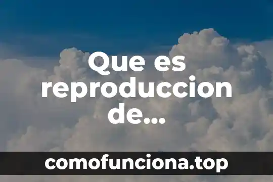 Introducción para que es importante los documentos de identidad 6 Que es reproduccion de documentos