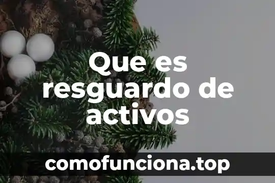 Control de activos fijos que es 5 Que es resguardo de activos
