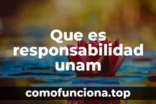 Que es lo que obstaculiza o inhíbe al ser responsabilidad 5 Que es responsabilidad unam