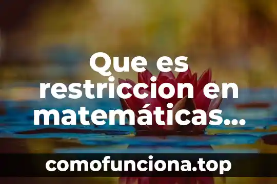 Qué es número con signo en matemáticas 3 Que es restriccion en matemáticas breve
