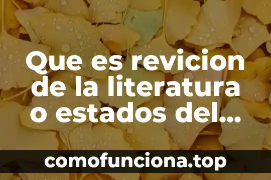 Que es retrospectiva en literatura 7 Que es revicion de la literatura o estados del arte