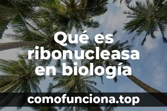 Que es patronímico en biologia 6 Qué es ribonucleasa en biología