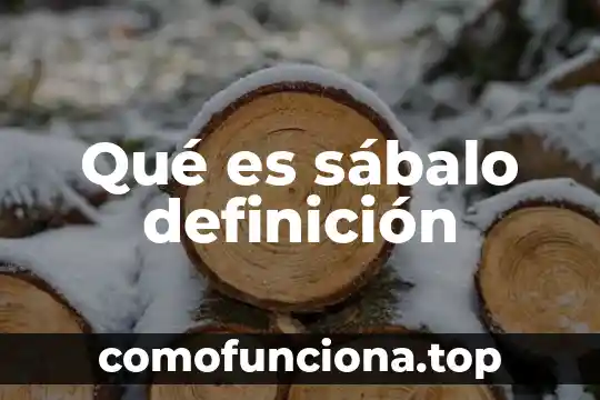 Qué es la televisión definición 5 Qué es sábalo definición