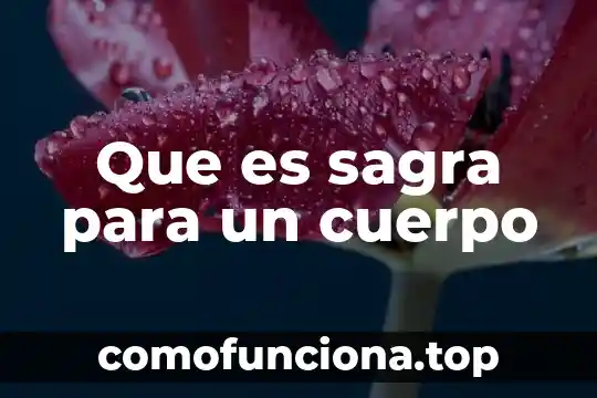 Que es cuerpo geometrico simples 4 Que es sagra para un cuerpo