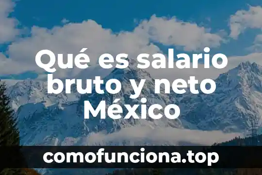 Que es el curp en mexico para extranjeros 4 Qué es salario bruto y neto México