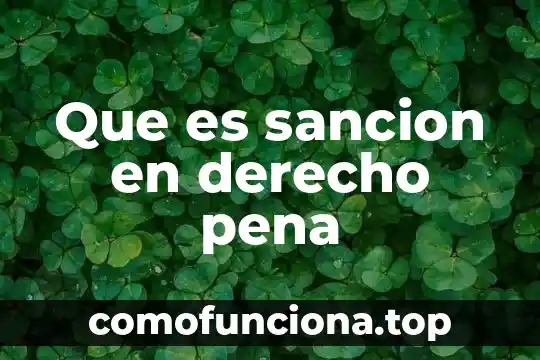 Qué es el derecho electoral conclusión 5 Que es sancion en derecho pena