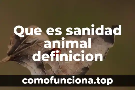 Que es una mordedura de animal 5 Que es sanidad animal definicion