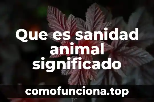 Que es ciervo animal 7 Que es sanidad animal significado
