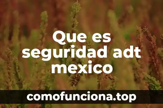 Que es sociedad annima en mexico 8 Que es seguridad adt mexico