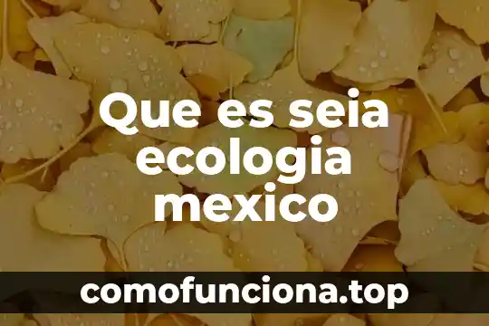 Que es el flujo de energia ecologia 8 Que es seia ecologia mexico