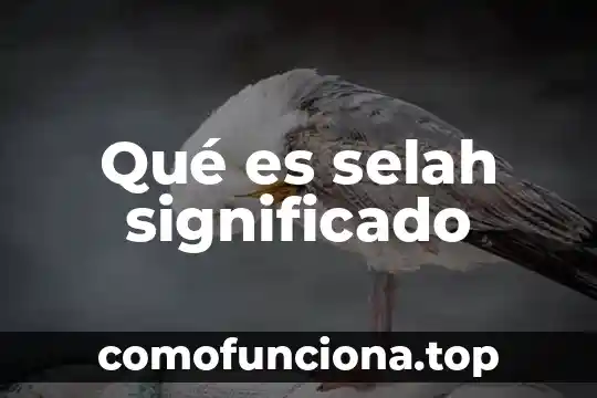 Que es flogisto significado 8 Qué es selah significado