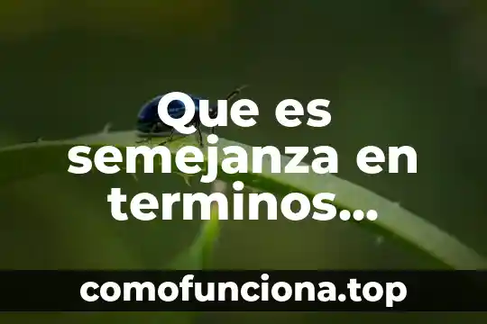 Que es el dolor de estomago en terminos populares 8 Que es semejanza en terminos matematicos