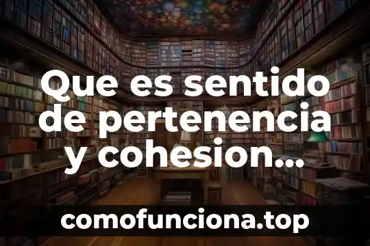 Que es cohesion interna 8 Que es sentido de pertenencia y cohesion social