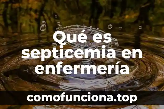 Que es el metaparadigma en enfermeria 3 Qué es septicemia en enfermería