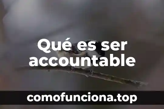 Que es lo que hizo benito juarez para ser importante 6 Qué es ser accountable