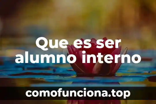 Que es ser lazy 6 Que es ser alumno interno