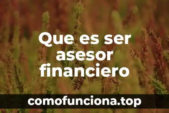 Estado financiero proyectado que es 3 Que es ser asesor financiero