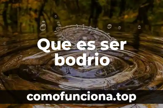 Película El Origen: qué es y por qué es relevante en la exploración del ser humano 8 Que es ser bodrio