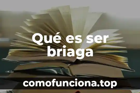 Que es ser fancy 5 Qué es ser briaga