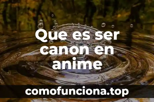 Qué es un proyecto o cañón y para qué sirve 3 Que es ser canon en anime