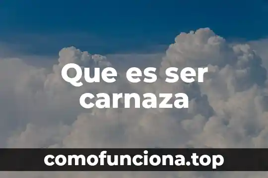 Que es ser una porra 4 Que es ser carnaza
