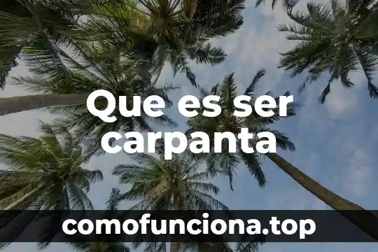 Que es una expresion algebraica y termino algebraico 5 Que es ser carpanta