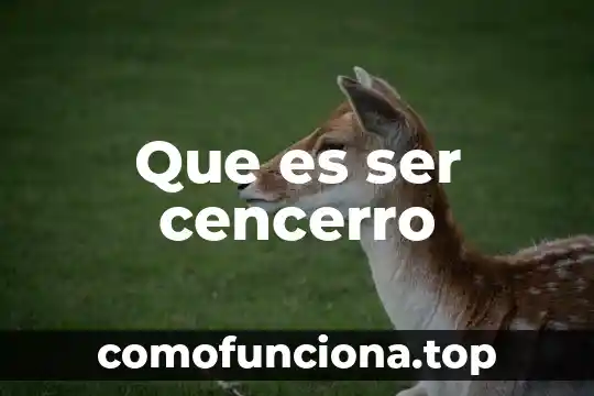 Qué es la etapa embrionaria del ser humano 6 Que es ser cencerro