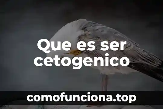 Que es ser bodrio 5 Que es ser cetogenico