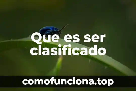 Que es ser puberta 4 Que es ser clasificado