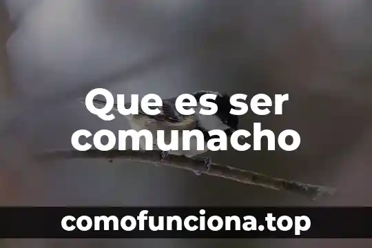 Qué es ser leandra 3 Que es ser comunacho