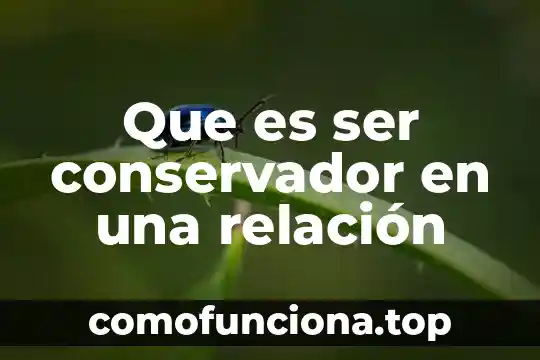 Que es ser fisio 7 Que es ser conservador en una relación