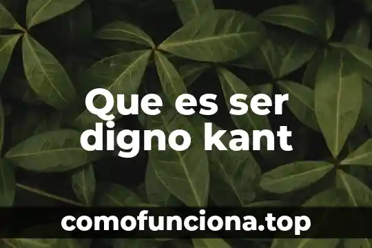 Que es ser profesor de idiomas segun autores 3 Que es ser digno kant