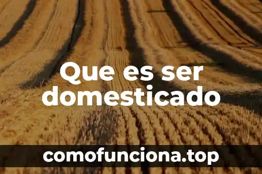 Que es ser atanto 5 Que es ser domesticado