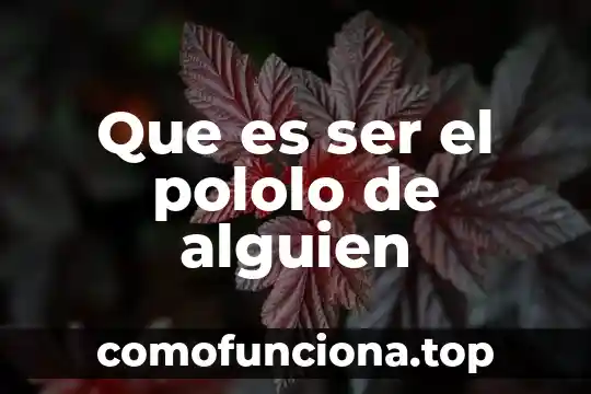 Que es para alguien ser profesionista 8 Que es ser el pololo de alguien