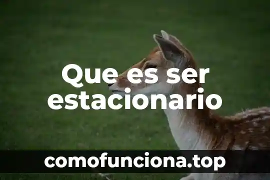 Que es ser competitivo en el deporte 8 Que es ser estacionario