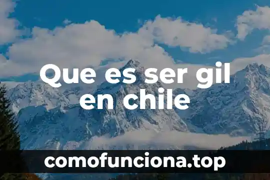 Que es ser niño en chile 5 Que es ser gil en chile