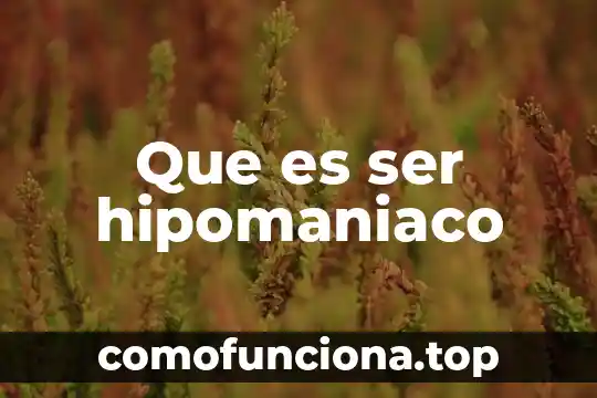 Que es ser fly 3 Que es ser hipomaniaco