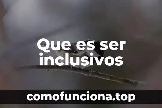Que es ser cliente y-41 en coppel 6 Que es ser inclusivos