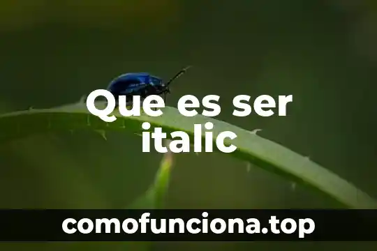 Qué es un central generadora 3 Que es ser italic