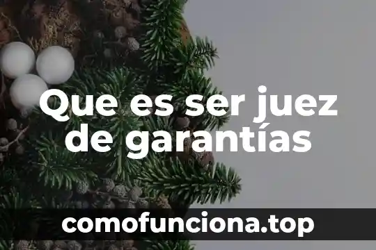 Que es ser cliente y-41 en coppel 3 Que es ser juez de garantías