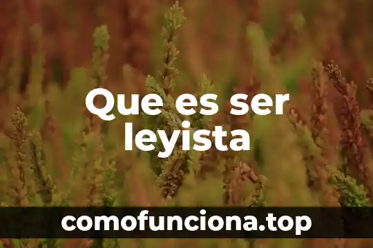 Que es la palabra ser 5 Que es ser leyista