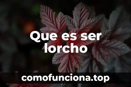 Que es ser martillero 4 Que es ser lorcho