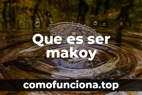Que es ser profesor de idiomas segun autores 7 Que es ser makoy