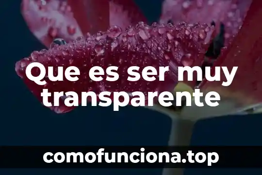Que es ser carnaza 8 Que es ser muy transparente