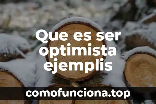 Que es ser martillero 6 Que es ser optimista ejemplis