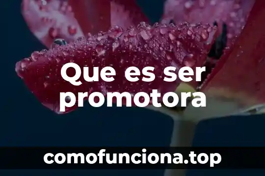 Que es ser martillero 5 Que es ser promotora