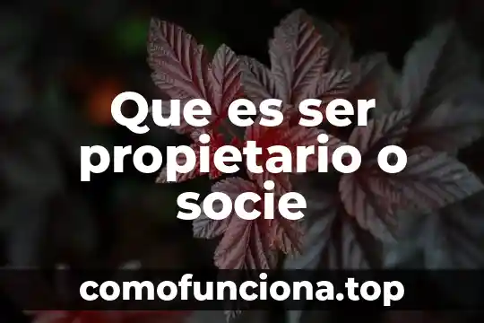 Que es ser gameplay 7 Que es ser propietario o socie